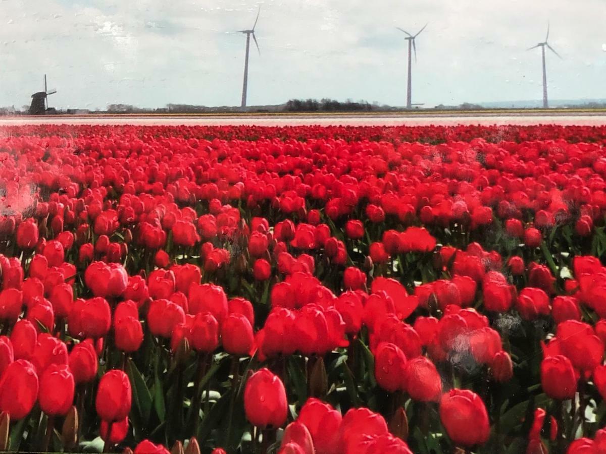 Vakantiehuis Aan Zee Sint Maartensvlotbrug Exteriér fotografie