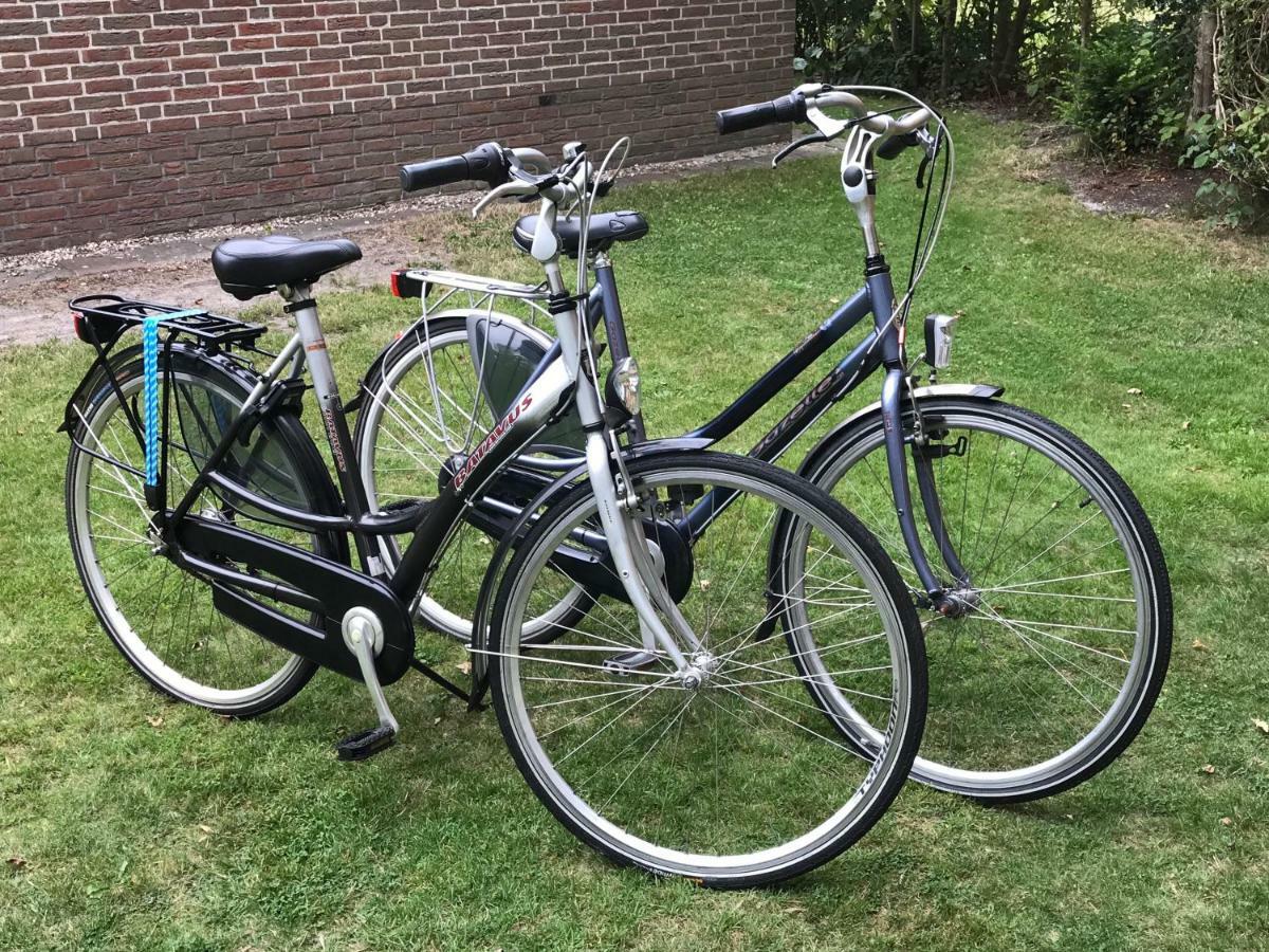 Vakantiehuis Aan Zee Sint Maartensvlotbrug Exteriér fotografie